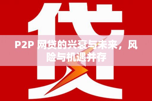 田林P2P 网贷的兴衰与未来，风险与机遇并存