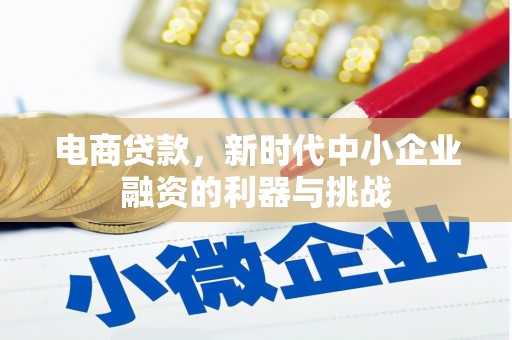 田林电商贷款，新时代中小企业融资的利器与挑战