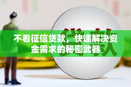 田林不看征信贷款，快速解决资金需求的秘密武器