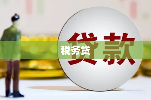 田林税务贷