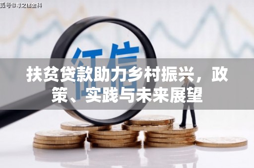 田林扶贫贷款助力乡村振兴，政策、实践与未来展望