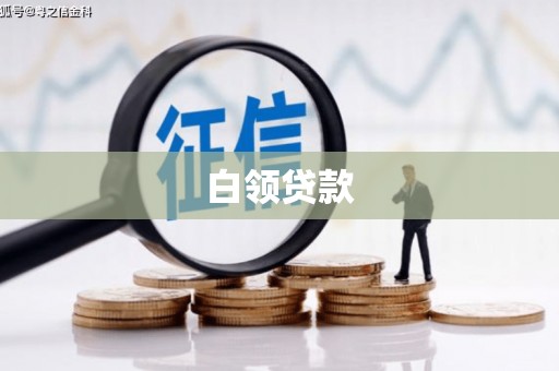 田林白领贷款