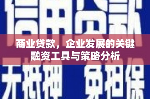 田林商业贷款，企业发展的关键融资工具与策略分析