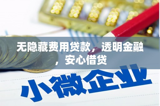 田林无隐藏费用贷款，透明金融，安心借贷