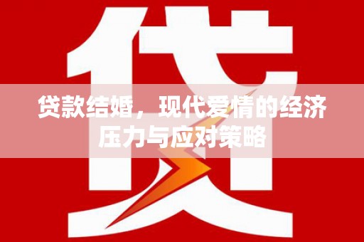 田林贷款结婚，现代爱情的经济压力与应对策略
