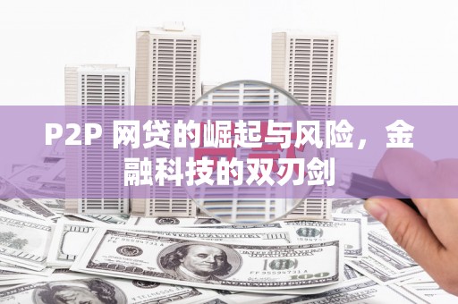 田林P2P 网贷的崛起与风险，金融科技的双刃剑