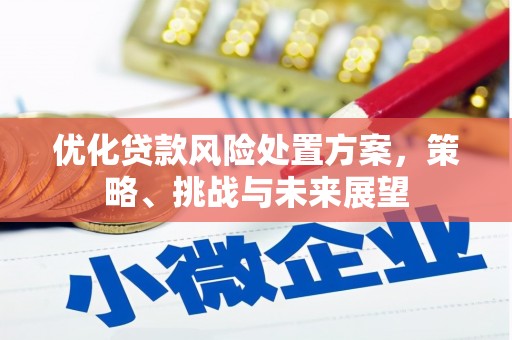 田林优化贷款风险处置方案，策略、挑战与未来展望