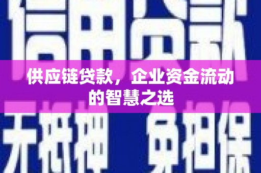 田林供应链贷款，企业资金流动的智慧之选