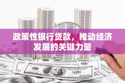 田林政策性银行贷款，推动经济发展的关键力量