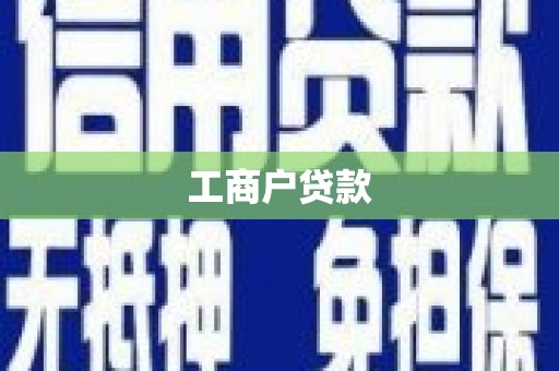 田林工商户贷款