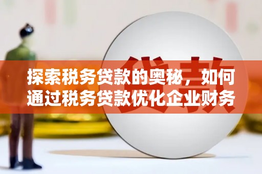 田林探索税务贷款的奥秘，如何通过税务贷款优化企业财务