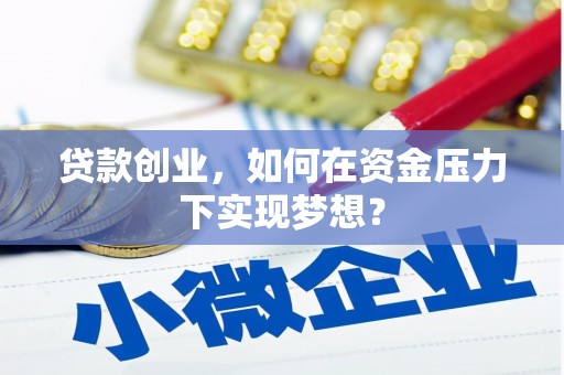 田林贷款创业，如何在资金压力下实现梦想？