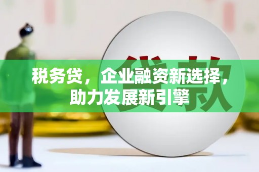 田林税务贷，企业融资新选择，助力发展新引擎
