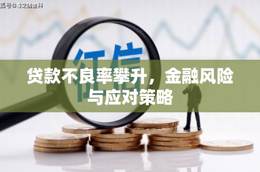 田林贷款不良率攀升，金融风险与应对策略