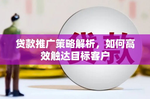 田林贷款推广策略解析，如何高效触达目标客户