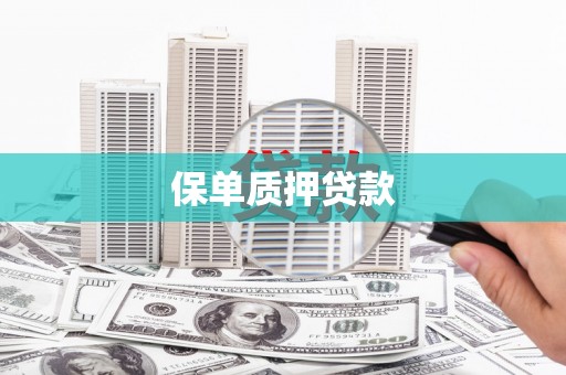 田林保单质押贷款