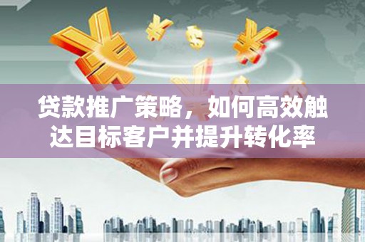田林贷款推广策略，如何高效触达目标客户并提升转化率