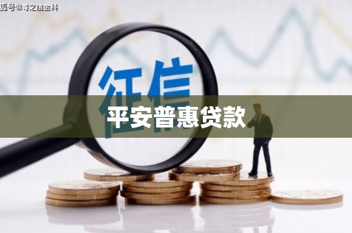 田林平安普惠贷款