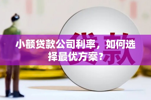 田林小额贷款公司利率，如何选择最优方案？