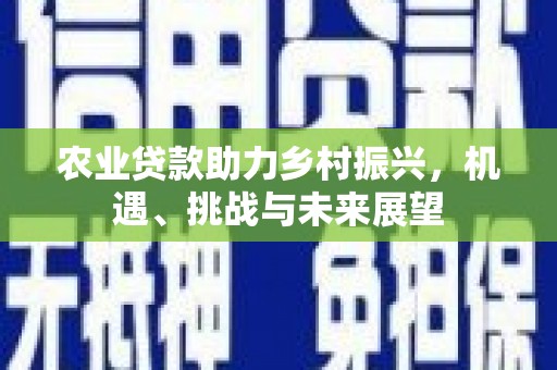 田林农业贷款助力乡村振兴，机遇、挑战与未来展望