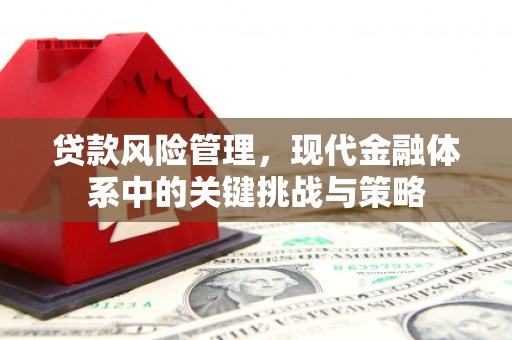 田林贷款风险管理，现代金融体系中的关键挑战与策略