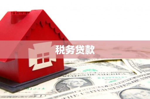 田林税务贷款