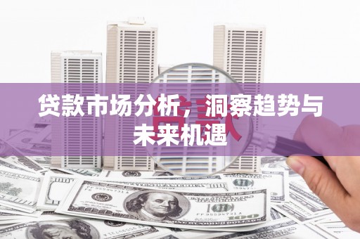 田林贷款市场分析，洞察趋势与未来机遇