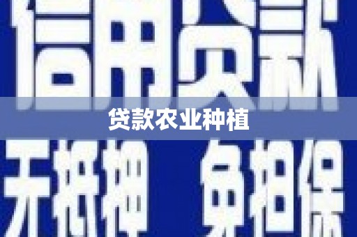 田林贷款农业种植