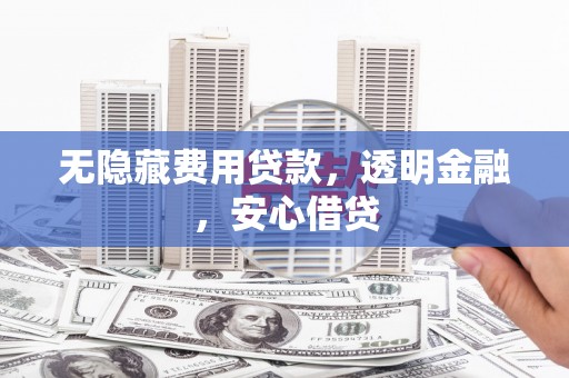 田林无隐藏费用贷款，透明金融，安心借贷