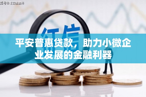 田林平安普惠贷款，助力小微企业发展的金融利器