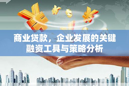 田林商业贷款，企业发展的关键融资工具与策略分析