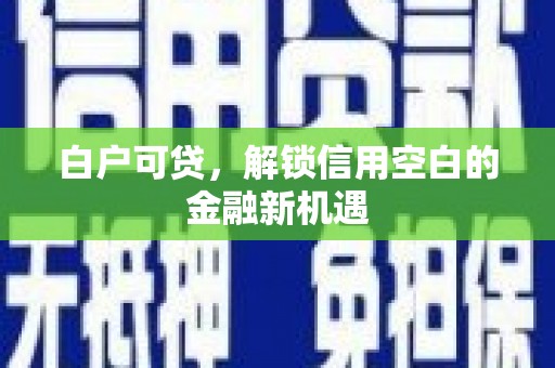 田林白户可贷，解锁信用空白的金融新机遇