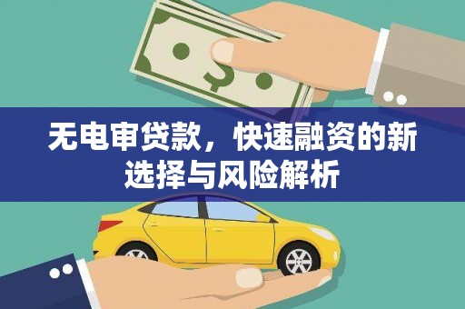 田林无电审贷款，快速融资的新选择与风险解析