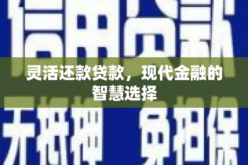 田林灵活还款贷款，现代金融的智慧选择