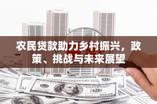田林农民贷款助力乡村振兴，政策、挑战与未来展望
