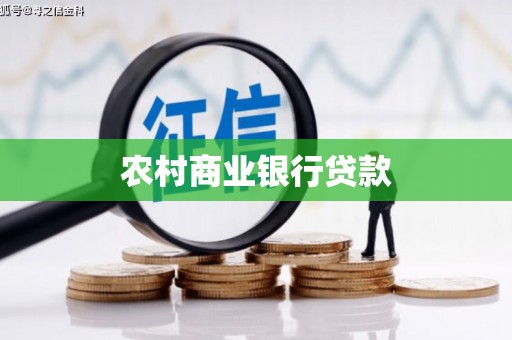 田林农村商业银行贷款