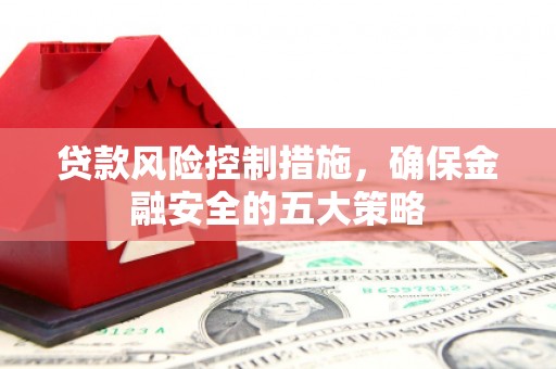 田林贷款风险控制措施，确保金融安全的五大策略