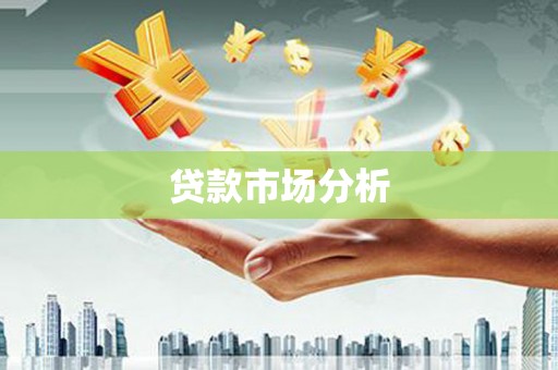 田林贷款市场分析