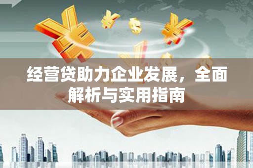 田林经营贷助力企业发展，全面解析与实用指南