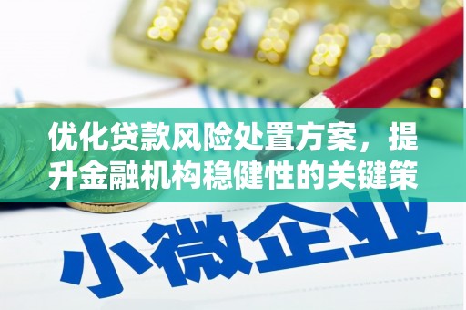 田林优化贷款风险处置方案，提升金融机构稳健性的关键策略
