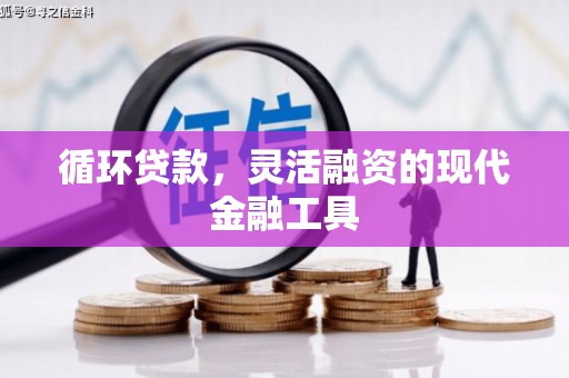 田林循环贷款，灵活融资的现代金融工具