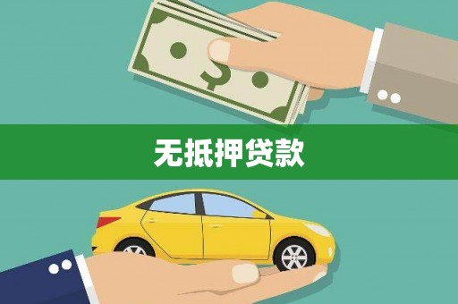 田林无抵押贷款