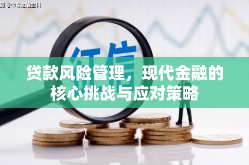 田林贷款风险管理，现代金融的核心挑战与应对策略