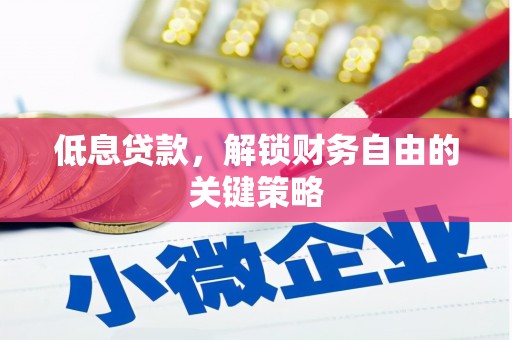 田林低息贷款，解锁财务自由的关键策略