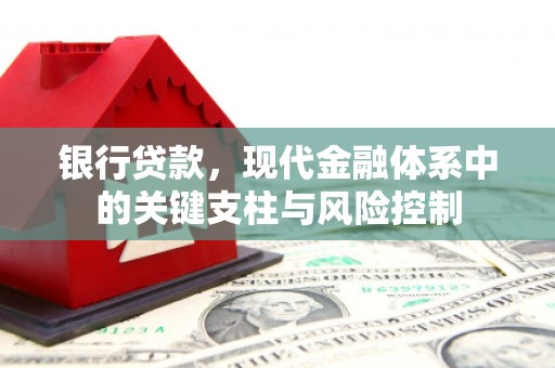 田林银行贷款，现代金融体系中的关键支柱与风险控制