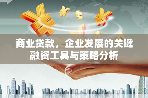 田林商业贷款，企业发展的关键融资工具与策略分析