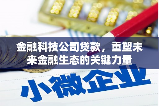 田林金融科技公司贷款，重塑未来金融生态的关键力量