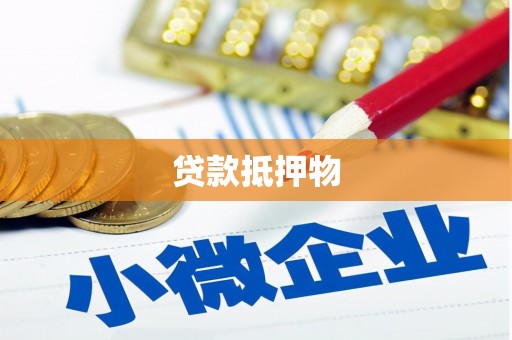 田林贷款抵押物