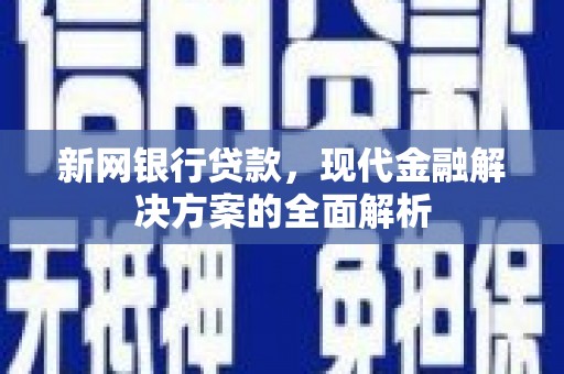 田林新网银行贷款，现代金融解决方案的全面解析