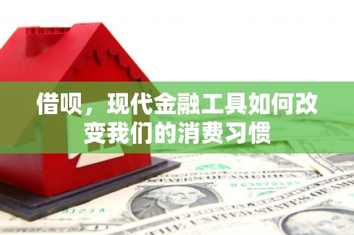 田林借呗，现代金融工具如何改变我们的消费习惯